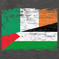Ireland Palestine Flags Half Irish Half Palestinian Vector Backpack
