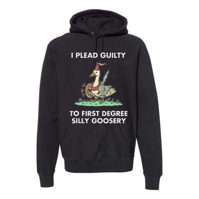 I Plead Guilty To F.I.R.S.T Degree Silly Goosery Apparel Premium Hoodie