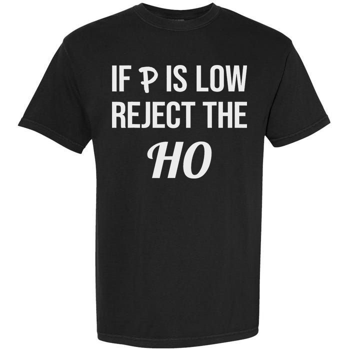 If P Is Low Reject The Ho Data Science Statistician Funny Garment-Dyed Heavyweight T-Shirt