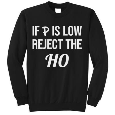 If P Is Low Reject The Ho Data Science Statistician Funny Sweatshirt
