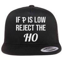 If P Is Low Reject The Ho Data Science Statistician Funny Flat Bill Trucker Hat
