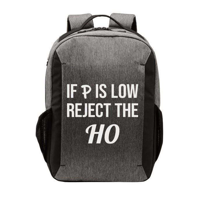 If P Is Low Reject The Ho Data Science Statistician Funny Vector Backpack