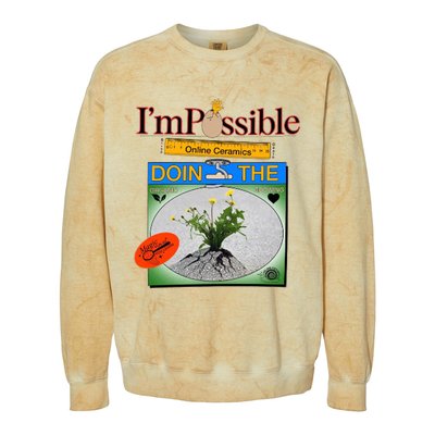 IM POSSIBLE Colorblast Crewneck Sweatshirt