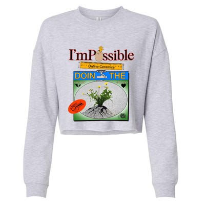 IM POSSIBLE Cropped Pullover Crew