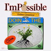 IM POSSIBLE Button