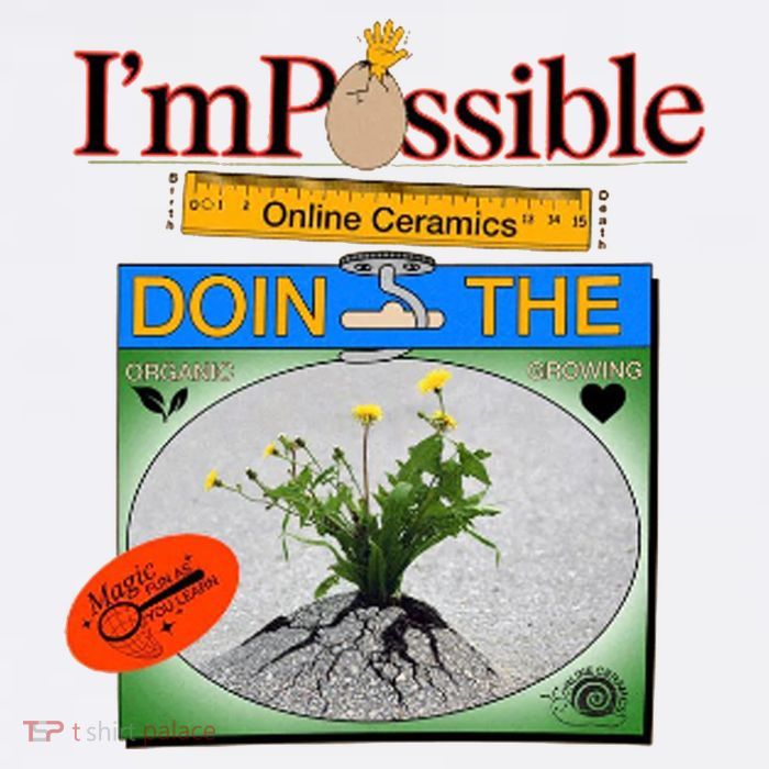 IM POSSIBLE Button