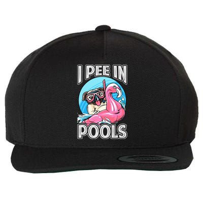 I Pee In Pools Funny Dog Swimming Pool Jokes Wool Snapback Cap
