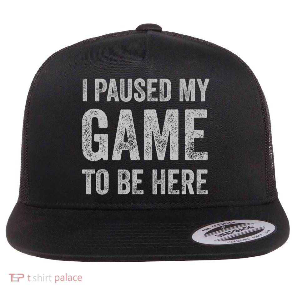 I Paused My Game To Be Here Vintage Pullover Hoodie Flatbill Hat