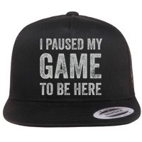 I Paused My Game To Be Here Vintage Pullover Hoodie Flatbill Hat