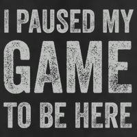 I Paused My Game To Be Here Vintage Pullover Hoodie Golf Towel