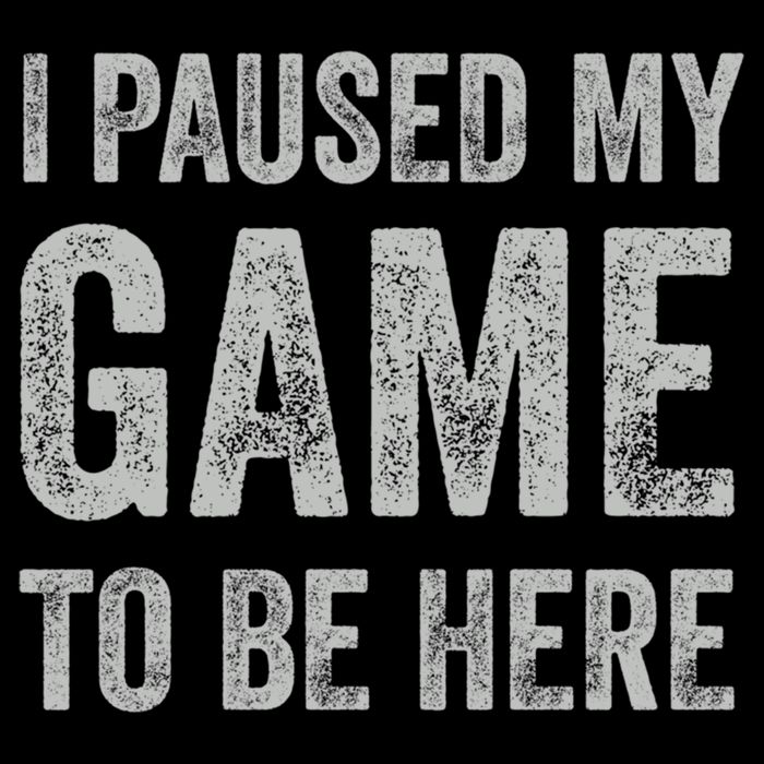I Paused My Game To Be Here Vintage Pullover Hoodie Kids T-Shirt