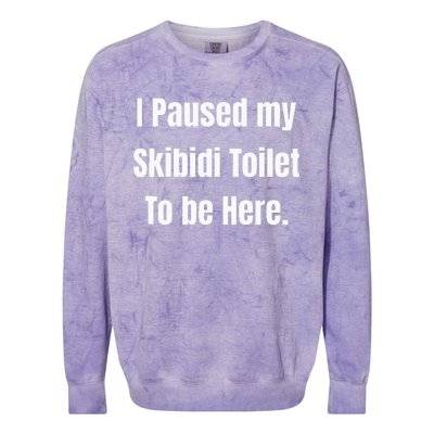 I Paused My Toilet To Be Here Softstyle Colorblast Crewneck Sweatshirt