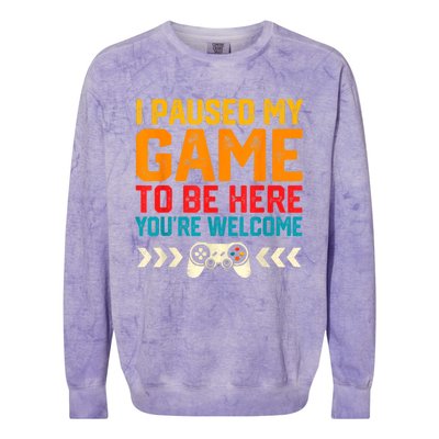 I Paused My Game To Be Here Funny Video Gamer Colorblast Crewneck Sweatshirt