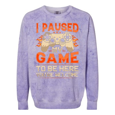 I Paused My Game To Be Here YouRe Welcome Retro Gamer Colorblast Crewneck Sweatshirt