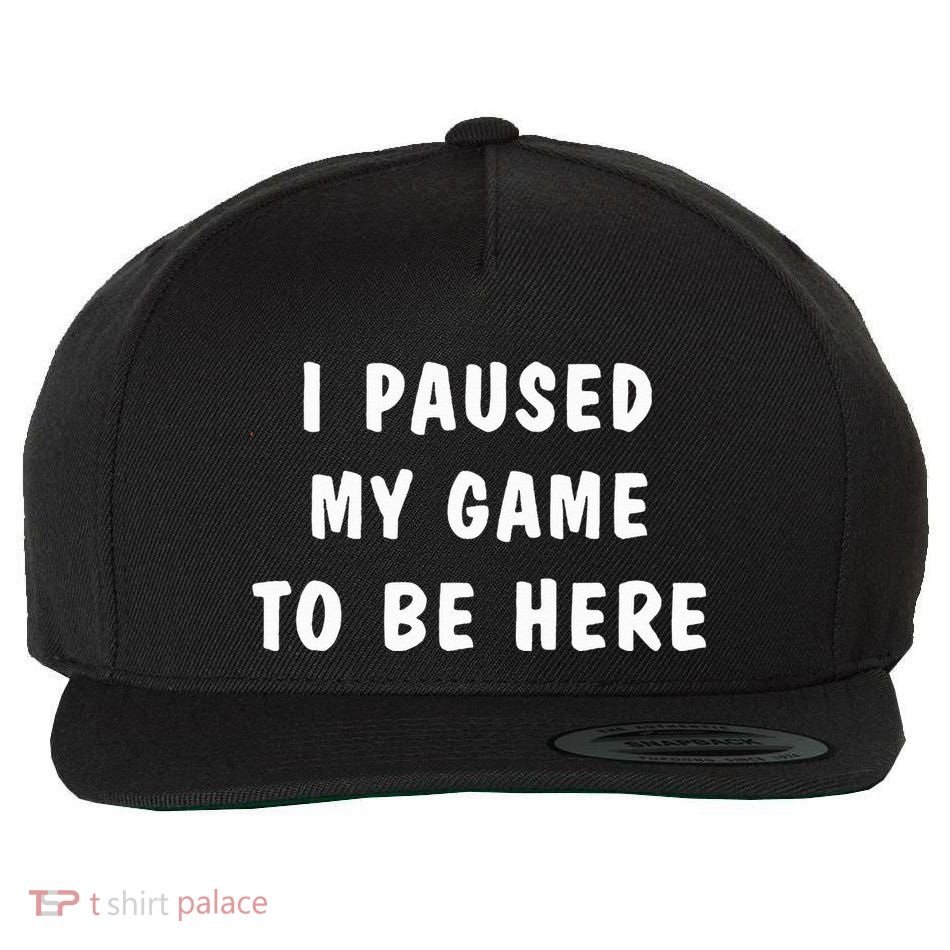 I Paused My Game to Be Here  Wool Snapback Cap