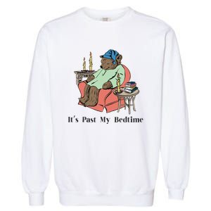 ItS Past My Bedtime Bear Taking A Nap Next To Books Garment-Dyed Sweatshirt