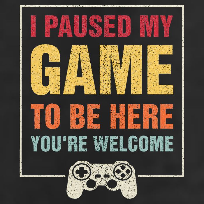 I Paused My Game To Be Here YouRe Welcome Video Gamer Gifts Adult Drive Performance Visor
