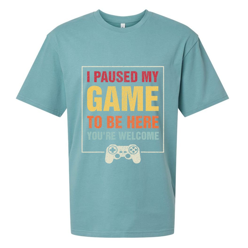 I Paused My Game To Be Here YouRe Welcome Video Gamer Gifts Sueded Cloud Jersey T-Shirt