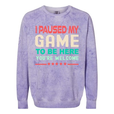 I Paused My Game To Be Here YouRe Welcome Retro Gamer Great Gift Colorblast Crewneck Sweatshirt