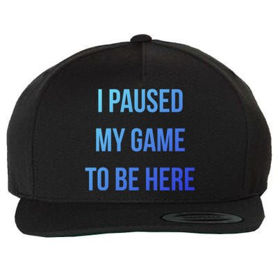 I Paused My Game To Be Here Gamer Hooded Cute Funny Gift Wool Snapback Cap