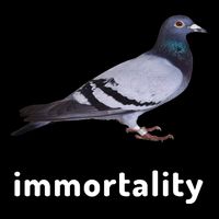 Immortality Pigeon Meme Oddly Weirdcore Toddler Sweatshirt