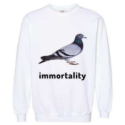 Immortality Pigeon Meme Oddly Weirdcore Garment-Dyed Sweatshirt