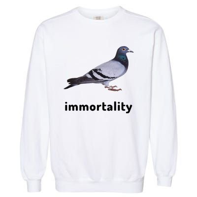 Immortality Pigeon Meme Oddly Weirdcore Garment-Dyed Sweatshirt