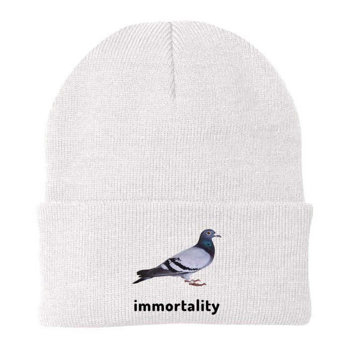 Immortality Pigeon Meme Oddly Weirdcore Beanie