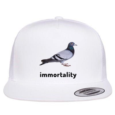Immortality Pigeon Meme Oddly Weirdcore Flatbill Hat