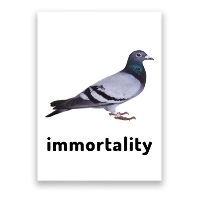 Immortality Pigeon Meme Oddly Weirdcore Poster