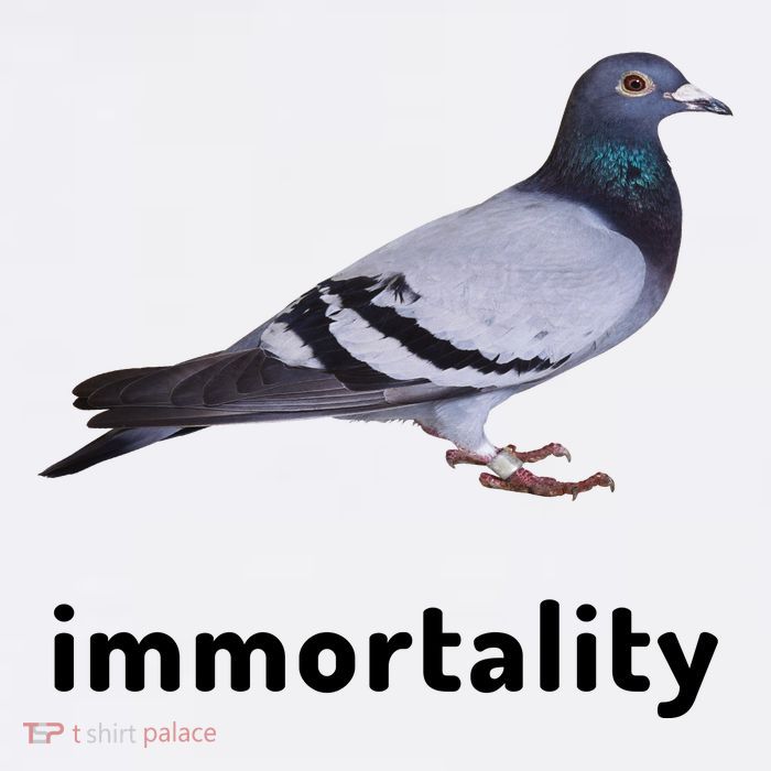 Immortality Pigeon Meme Oddly Weirdcore Poster