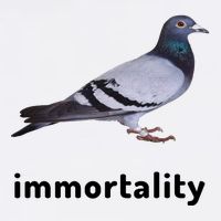 Immortality Pigeon Meme Oddly Weirdcore Toddler T-Shirt