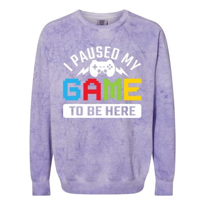 I Paused My Game To Be Here Youre Welcome Retro Gamer Gift Colorblast Crewneck Sweatshirt