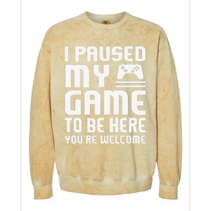 I Paused My Game To Be Here  Funny Video Gamers Gift  Colorblast Crewneck Sweatshirt