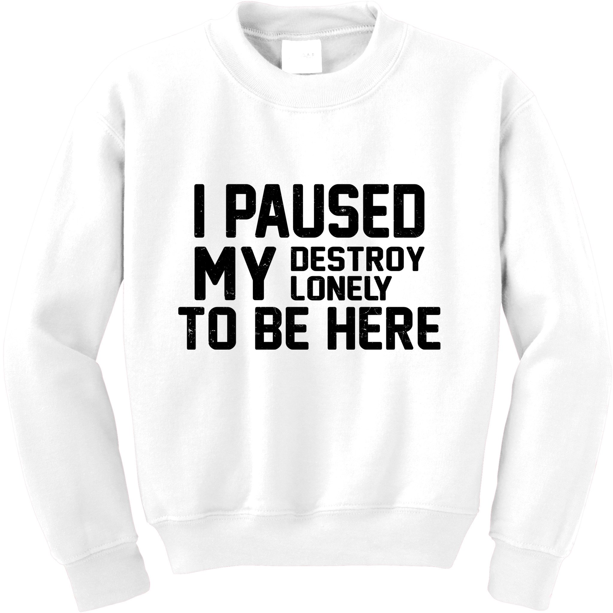 I Paused My Destroy Lonely To Be Here Kids Sweatshirt