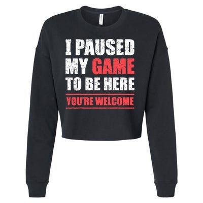 I Paused My Game To Be Here Funny Gamer Video Game Gaming Cropped Pullover Crew