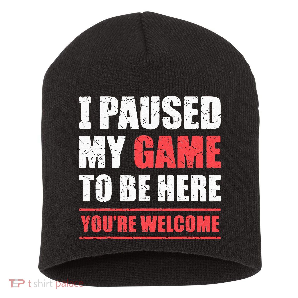 I Paused My Game To Be Here Funny Gamer Video Game Gaming Short Acrylic Beanie