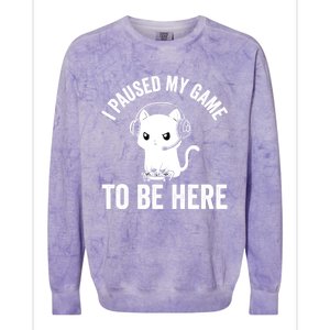 I Paused My Game To Be Here Cat Funny Video Game For Gamers Gift Colorblast Crewneck Sweatshirt