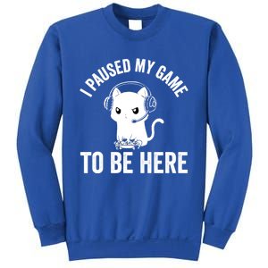 I Paused My Game To Be Here Cat Funny Video Game For Gamers Gift Sweatshirt