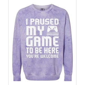 I Paused My Game To Be Here Funny Video Gamers Gift  Colorblast Crewneck Sweatshirt