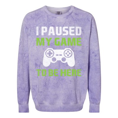 I Paused My Game To Be Here Funny Vintage Video Gamer Gift Colorblast Crewneck Sweatshirt