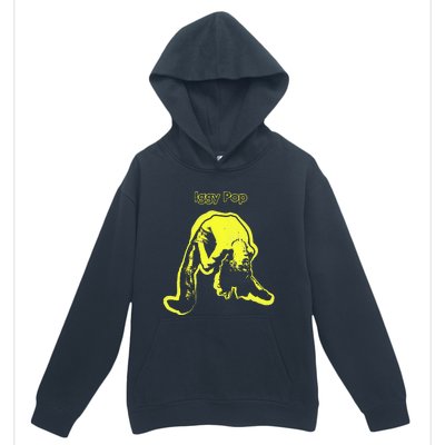 I.G.G.Y Pop Movement Urban Pullover Hoodie