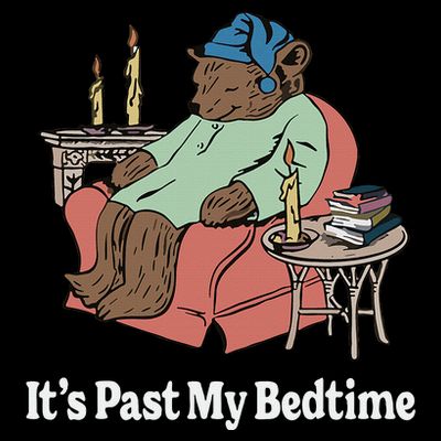 ItS Past My Bedtime Sleepy Bear Time Reading T-Shirt