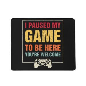 I Paused My Game To Be Here Funny N Boy Gifts Video Gamer Mousepad