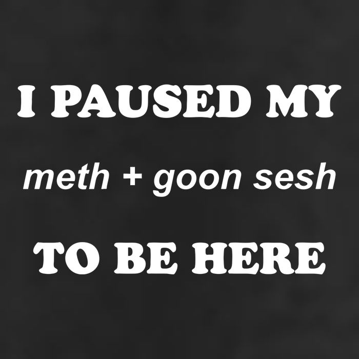 I Paused My Meth And Goon Sesh To Be Here Cool Comfort Performance Bucket Hat
