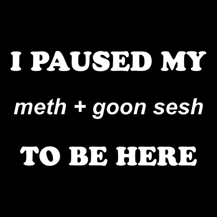 I Paused My Meth And Goon Sesh To Be Here Crop Top