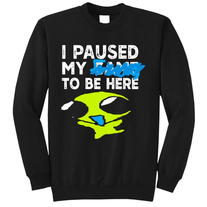 I Paused My Flug To Be Here Sweatshirt