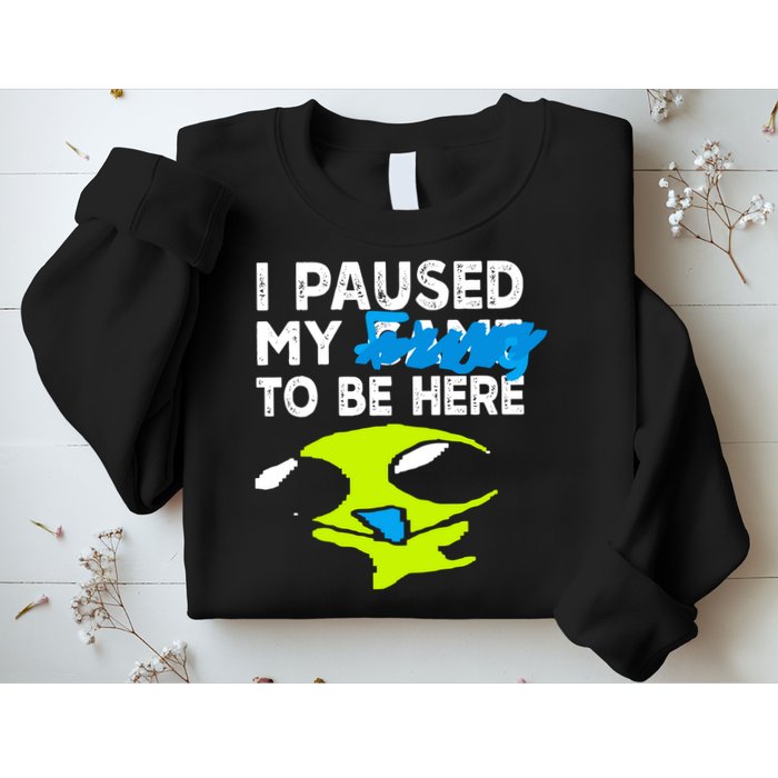 I Paused My Flug To Be Here Sweatshirt