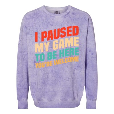 I Paused My Game To Be Here YouRe Welcome Funny Retro Gamer Gift Colorblast Crewneck Sweatshirt