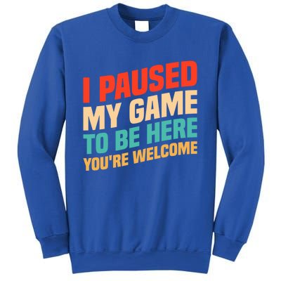 I Paused My Game To Be Here YouRe Welcome Funny Retro Gamer Gift Sweatshirt